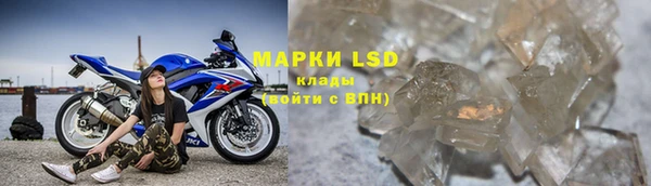 PSILOCYBIN Новокубанск