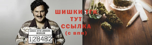 стафф Новозыбков