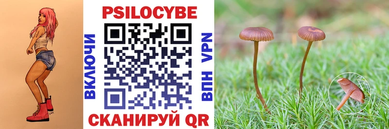 Галлюциногенные грибы Psilocybine cubensis  Петушки 
